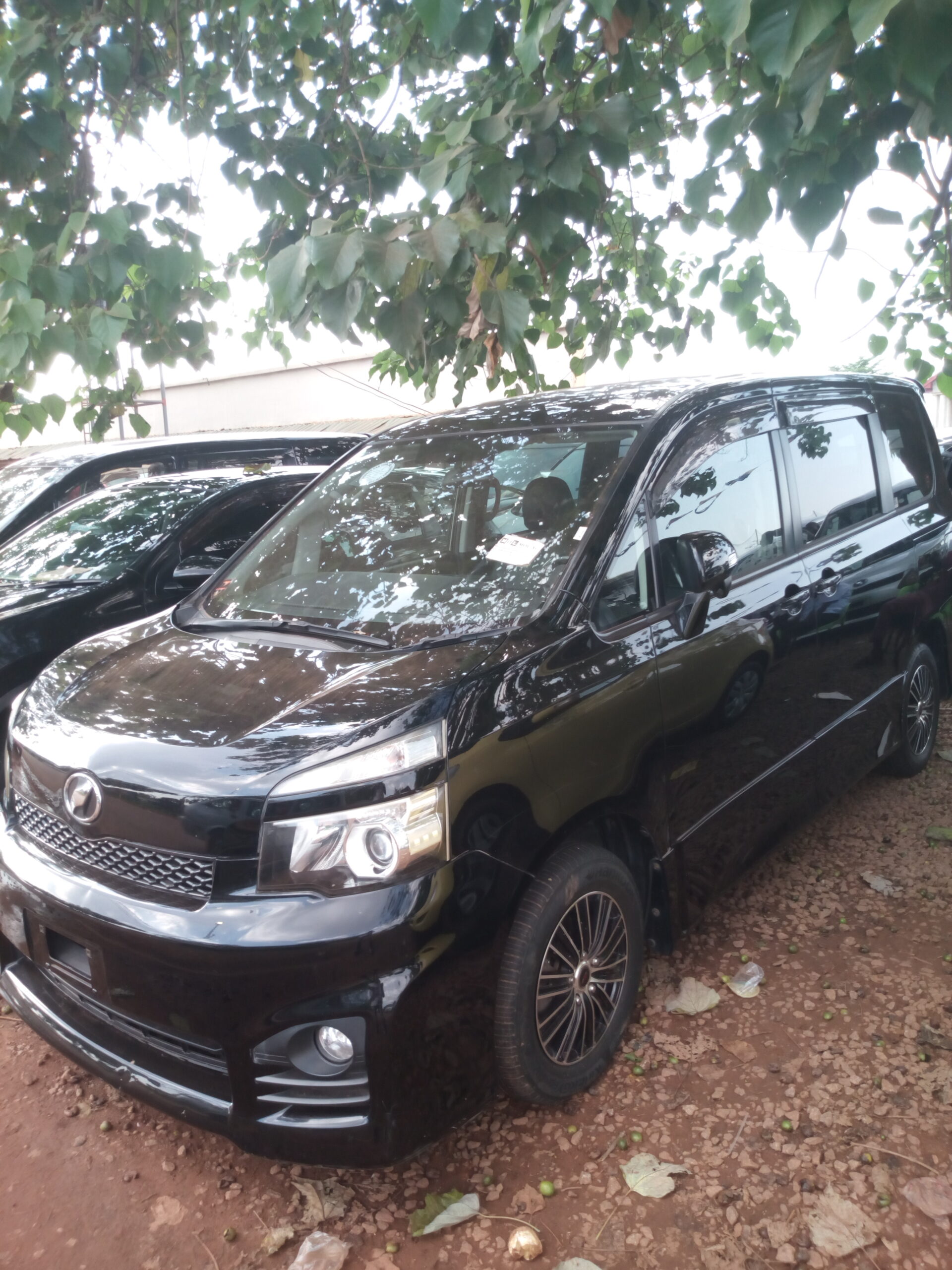 
								Toyota Voxy Minivan full									