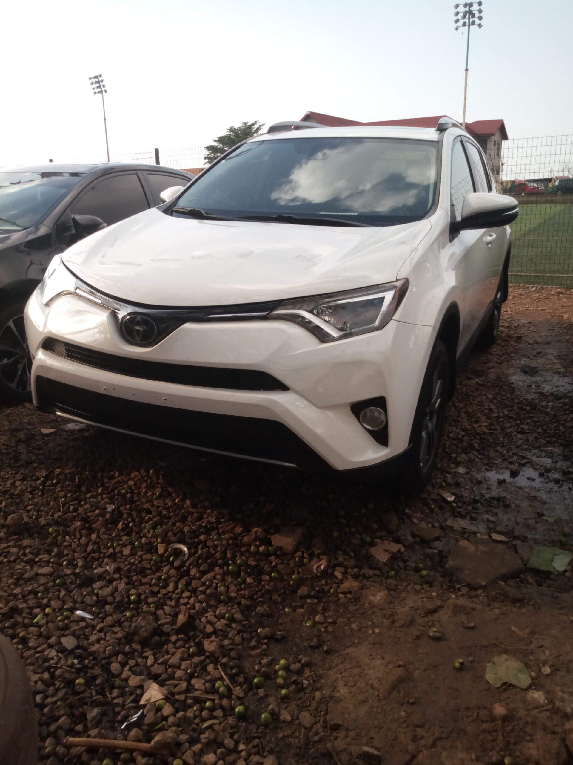 
								white Toyota RAV4 full									